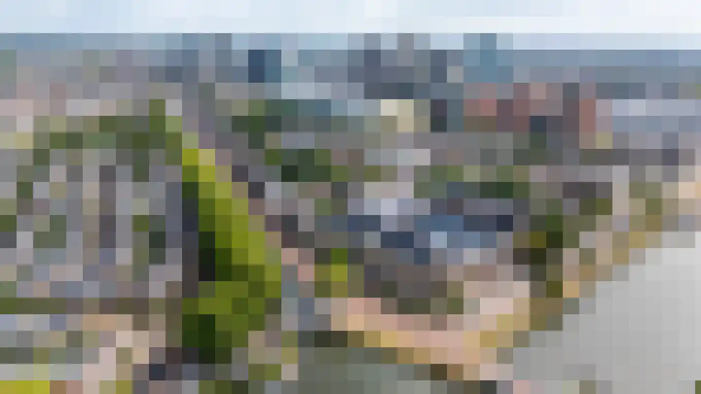 Leidseweg 84 Utrecht thumbnail 57