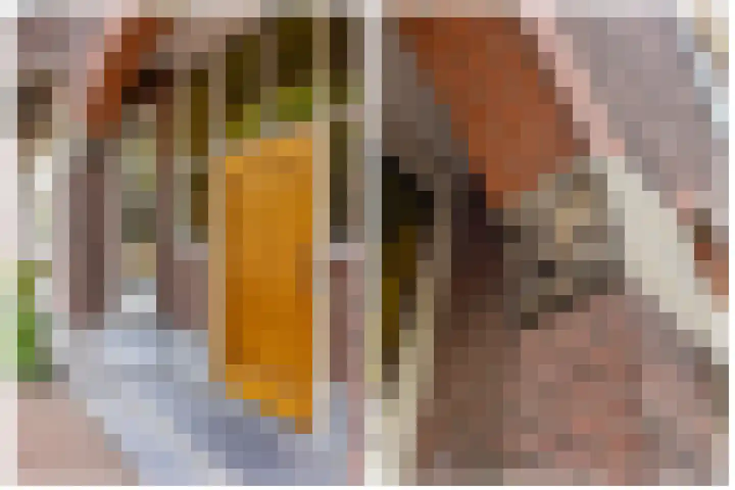 Leidseweg 84 Utrecht thumbnail 6
