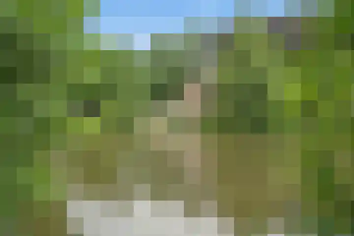 Leidseweg 96 1 Utrecht thumbnail 43