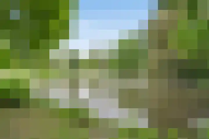 Leidseweg 96 1 Utrecht thumbnail 46