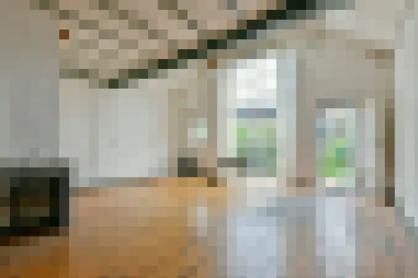 Leidsezijstraat 9 Haarlem thumbnail 13