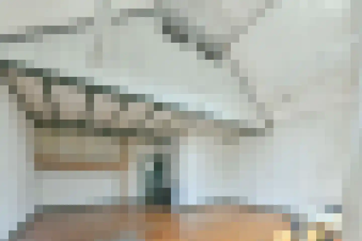 Leidsezijstraat 9 Haarlem thumbnail 14