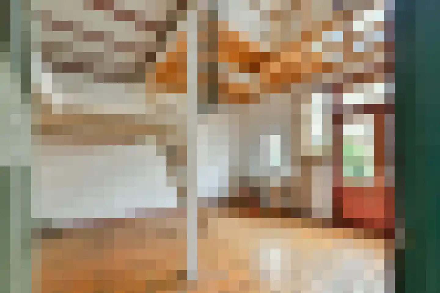 Leidsezijstraat 9 Haarlem thumbnail 17