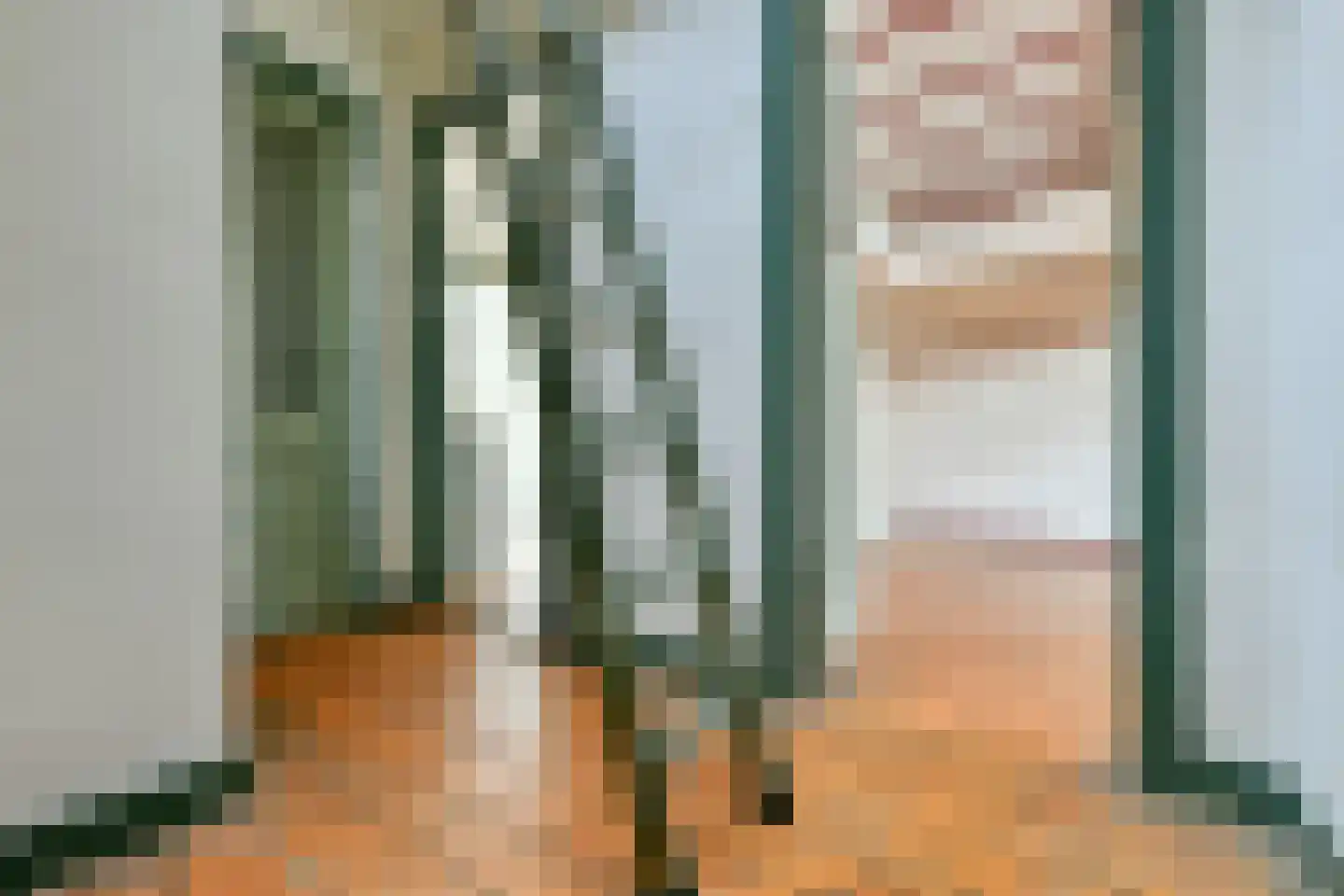 Leidsezijstraat 9 Haarlem thumbnail 22