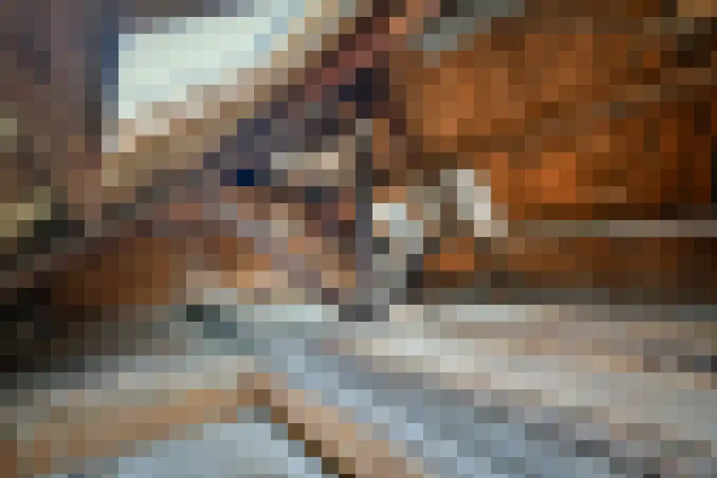 Leidsezijstraat 9 Haarlem thumbnail 23