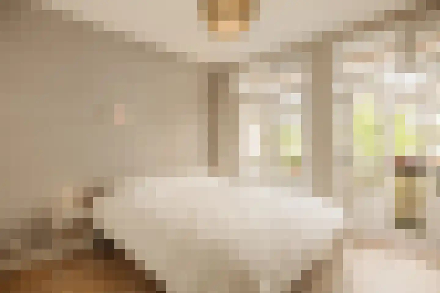 Leiduinstraat 10 2 Amsterdam thumbnail 12
