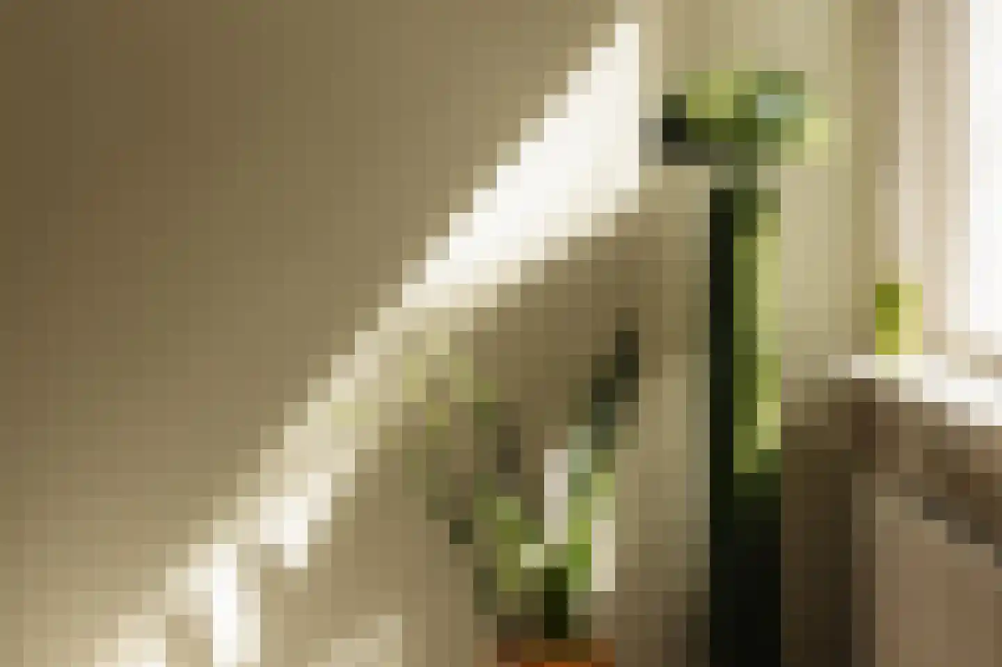 Leiduinstraat 10 2 Amsterdam thumbnail 9