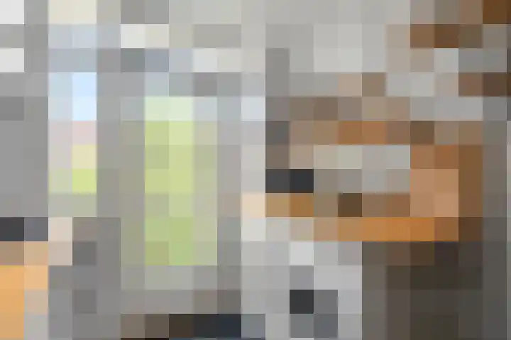 Leiduinstraat 17 2 Amsterdam thumbnail 14