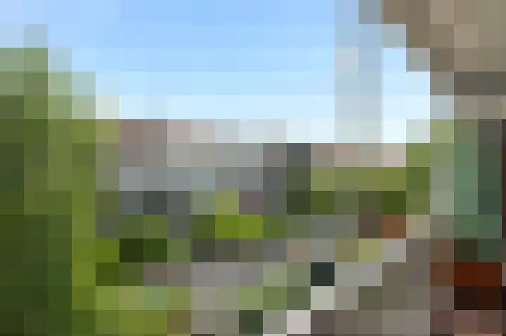 Leiduinstraat 17 2 Amsterdam thumbnail 16
