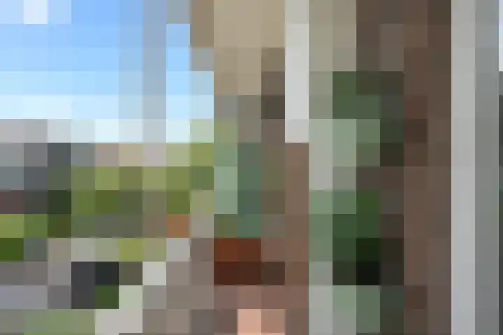 Leiduinstraat 17 2 Amsterdam thumbnail 17