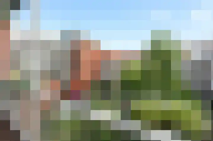 Leiduinstraat 17 2 Amsterdam thumbnail 19