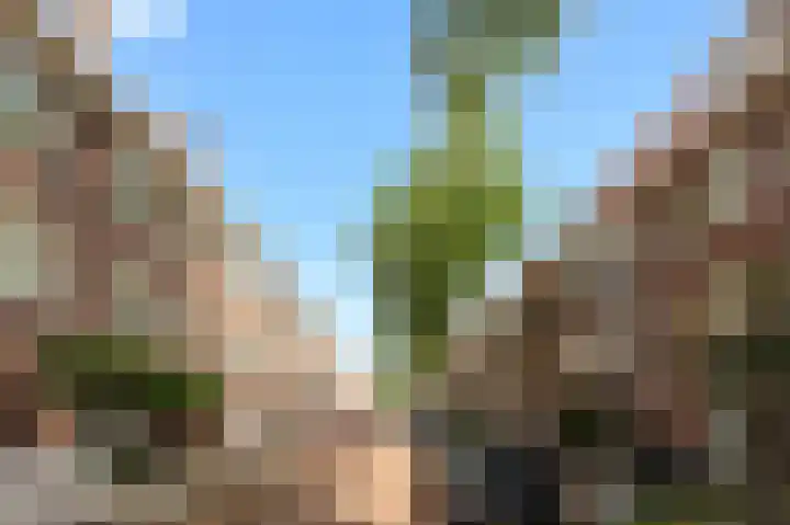 Leiduinstraat 17 2 Amsterdam thumbnail 27