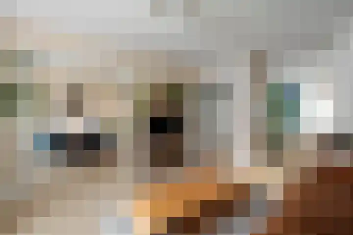 Leiduinstraat 17 2 Amsterdam thumbnail 32