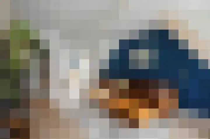 Leiduinstraat 17 2 Amsterdam thumbnail 5