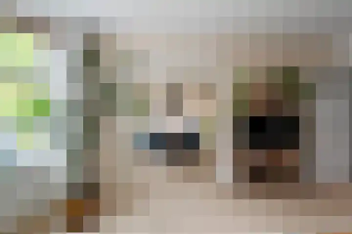 Leiduinstraat 17 2 Amsterdam thumbnail 6