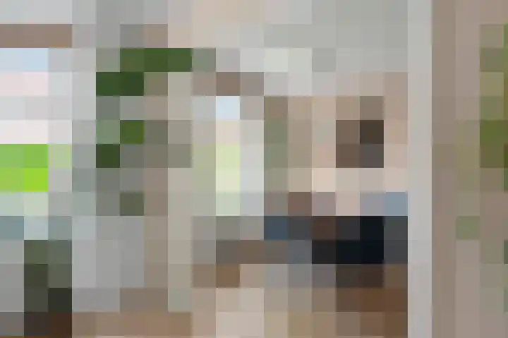 Leiduinstraat 17 2 Amsterdam thumbnail 7