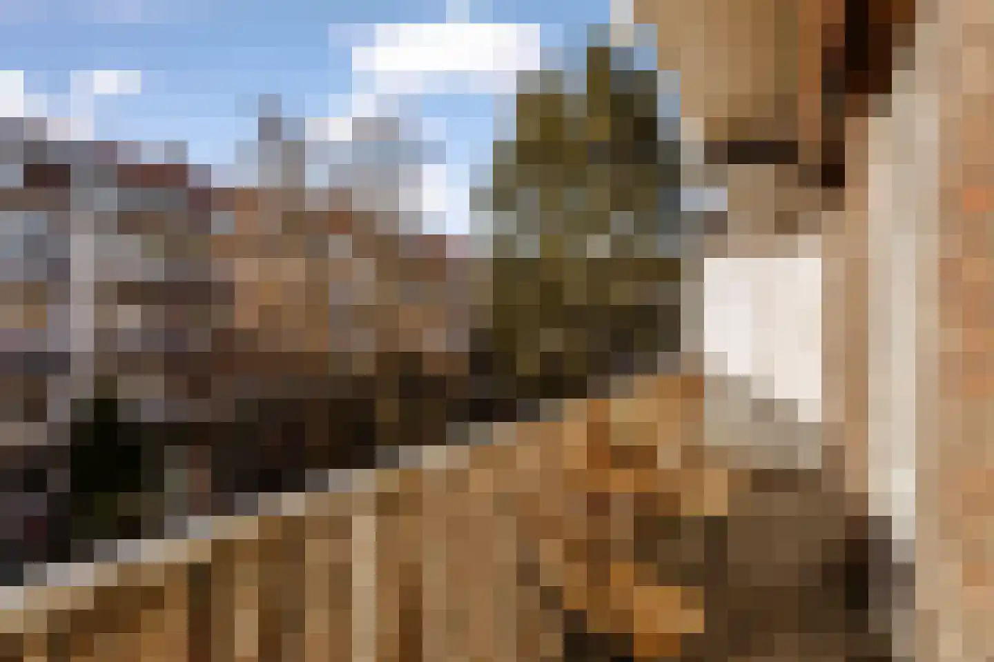 Leiduinstraat 20 2 Amsterdam thumbnail 22