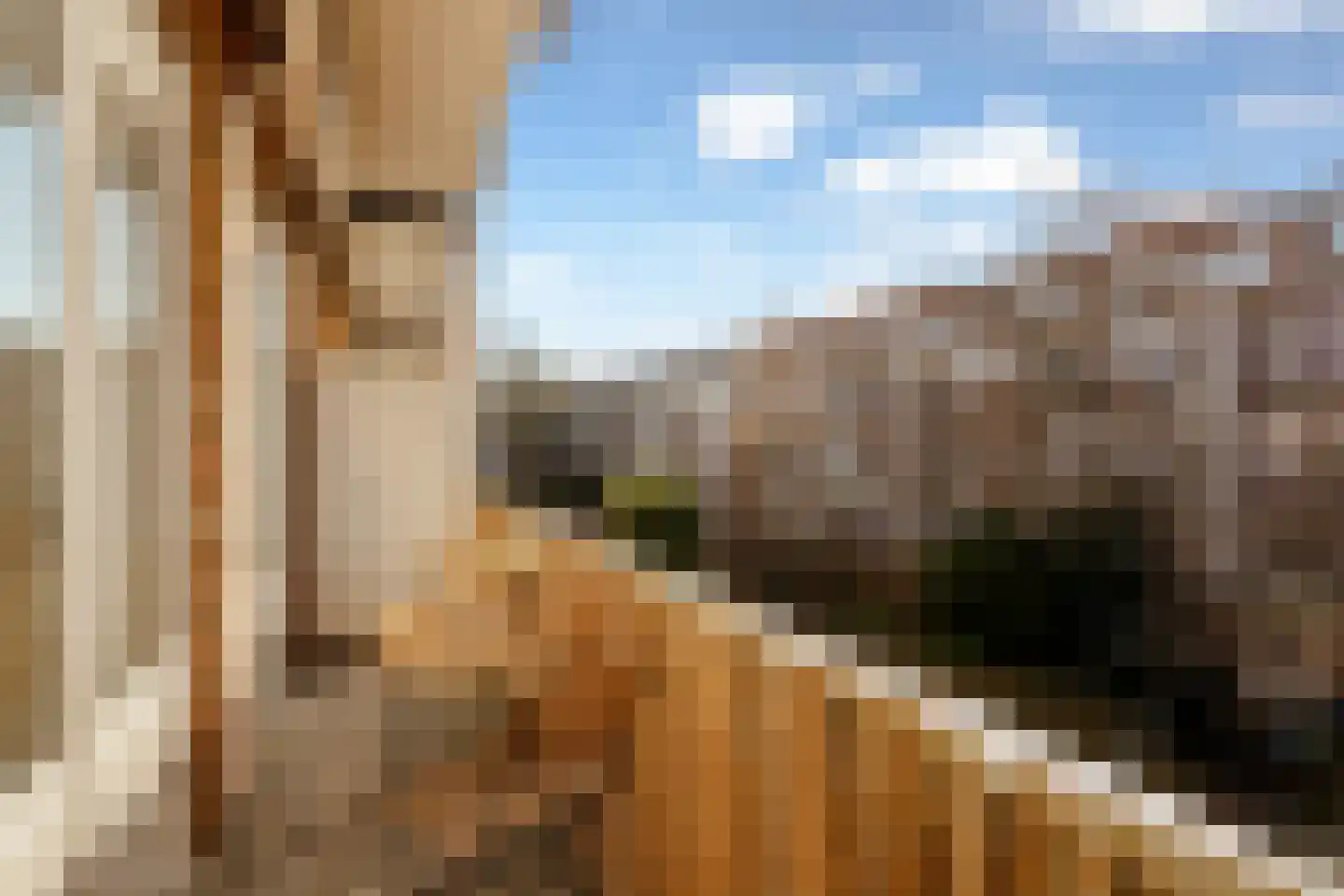 Leiduinstraat 20 2 Amsterdam thumbnail 23