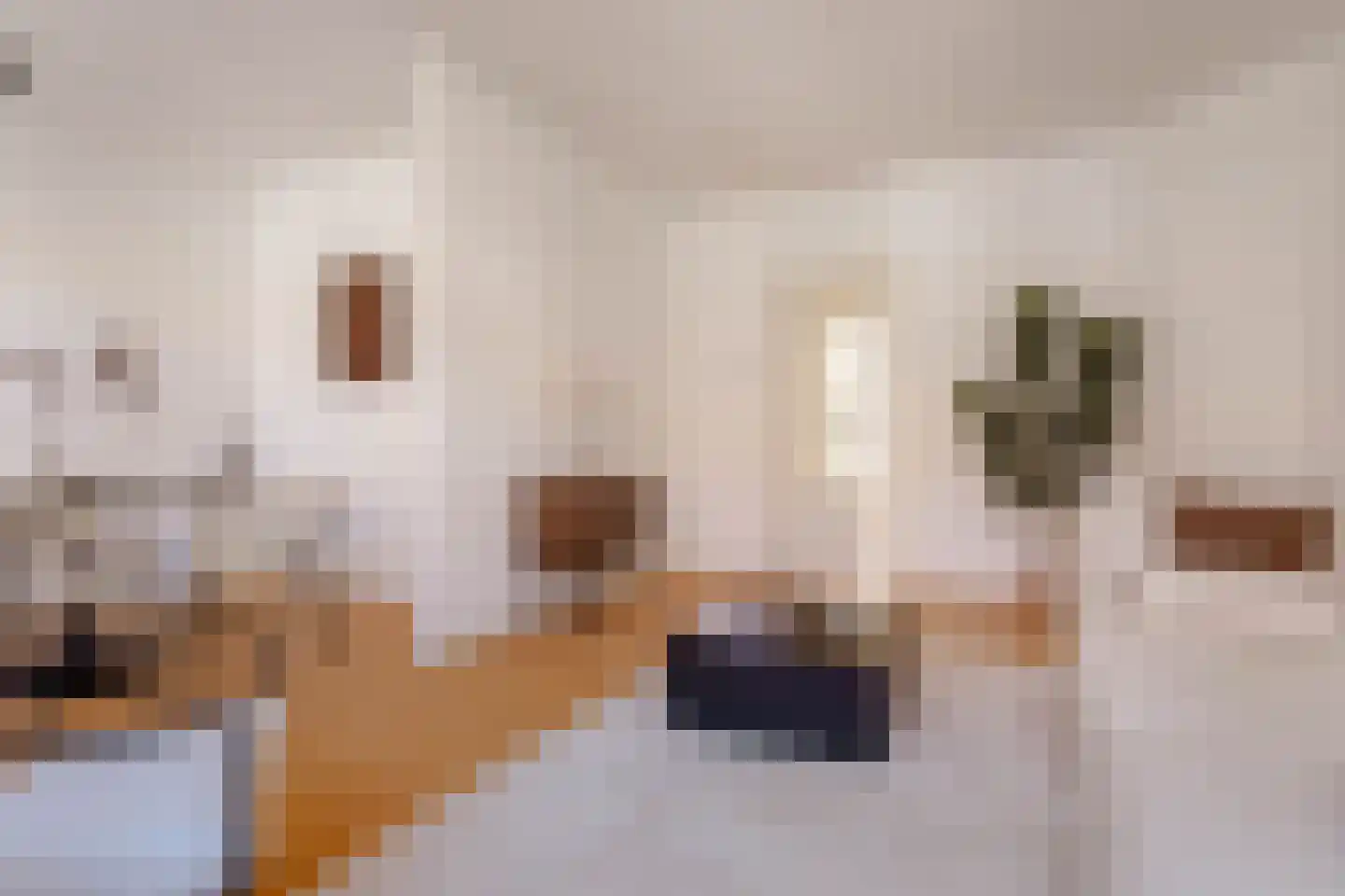 Leiduinstraat 20 2 Amsterdam thumbnail 5