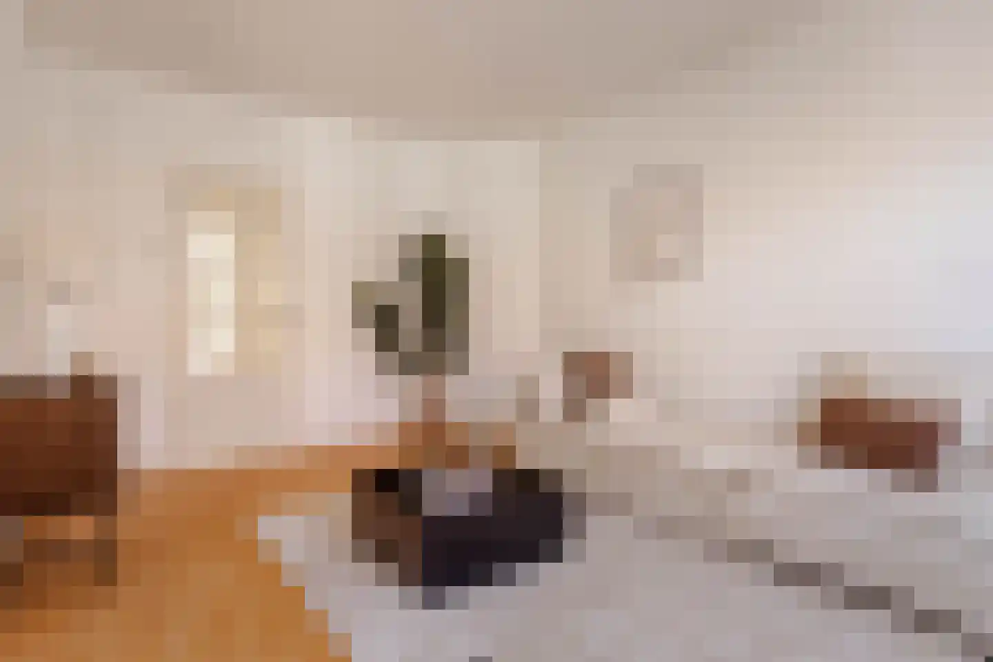 Leiduinstraat 20 2 Amsterdam thumbnail 6