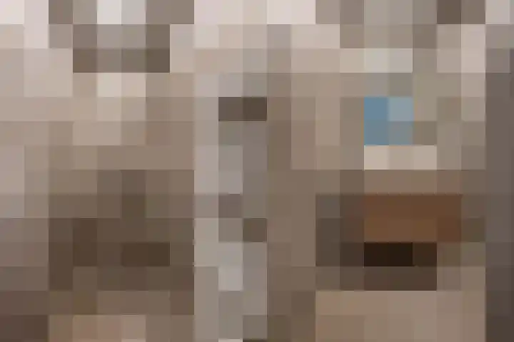 Leiduinstraat 22 1 Amsterdam thumbnail 17