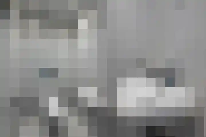 Leiduinstraat 22 1 Amsterdam thumbnail 18