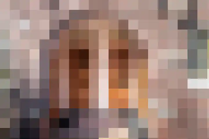 Leiduinstraat 22 1 Amsterdam thumbnail 5