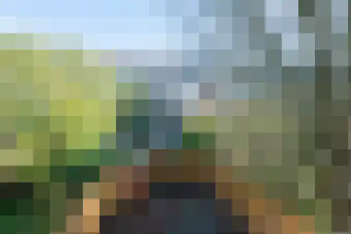 Leiduinstraat 29 2 Amsterdam thumbnail 30