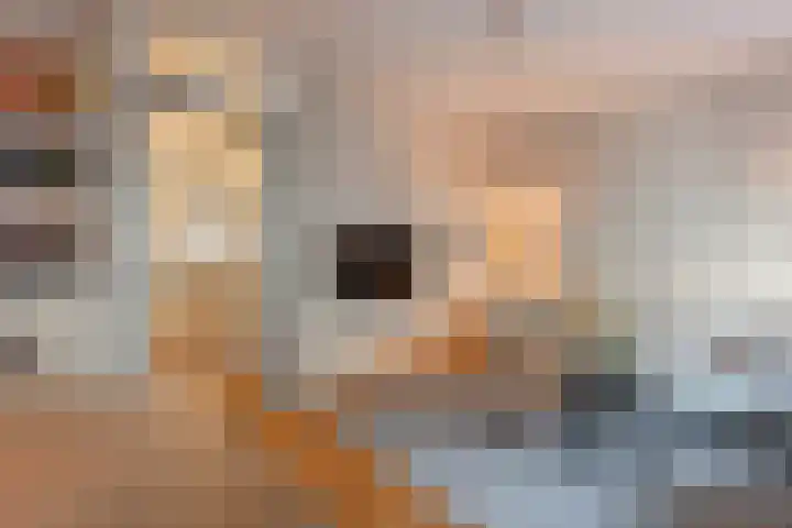 Leiduinstraat 29 2 Amsterdam thumbnail 7
