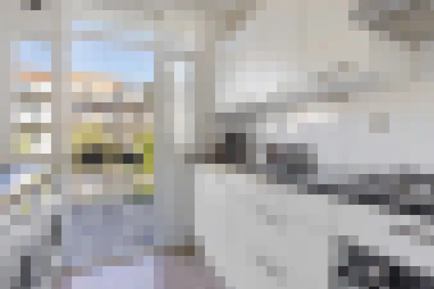 Leiduinstraat 35 1 Amsterdam thumbnail 11