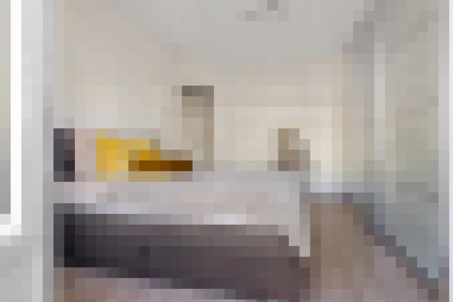 Leiduinstraat 35 1 Amsterdam thumbnail 17