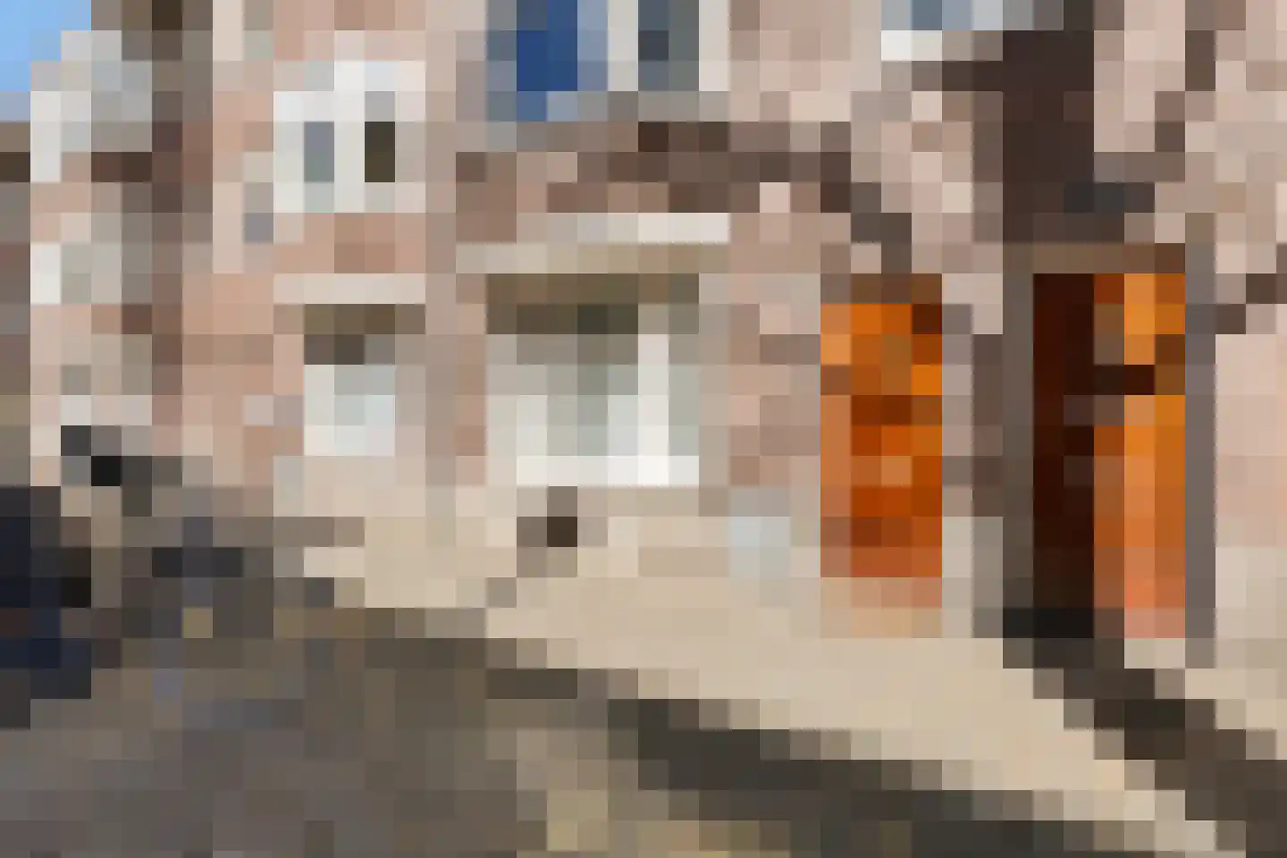 Leiduinstraat 35 1 Amsterdam thumbnail 21