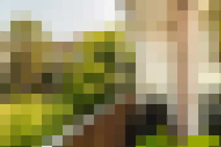 Leiduinstraat 39 H Amsterdam thumbnail 15