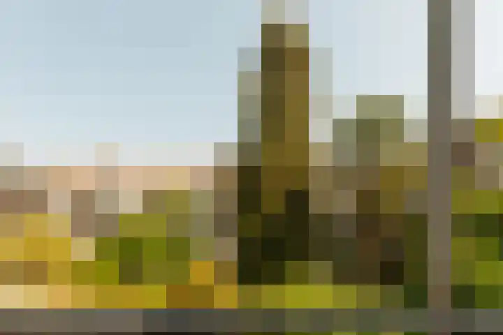 Leiduinstraat 39 H Amsterdam thumbnail 16