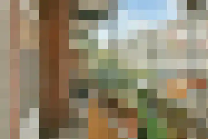 Leiduinstraat 4 3 Amsterdam thumbnail 12