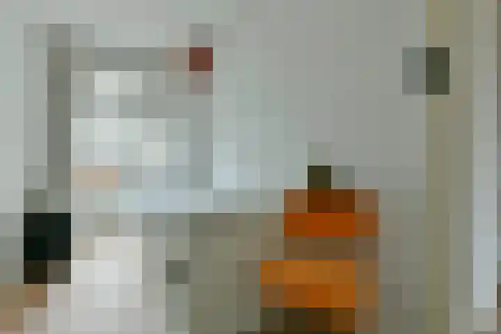 Leiduinstraat 4 3 Amsterdam thumbnail 15