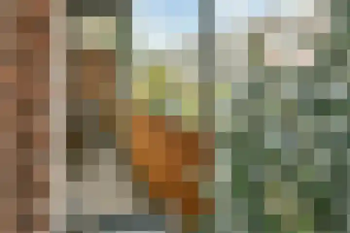 Leiduinstraat 4 3 Amsterdam thumbnail 18
