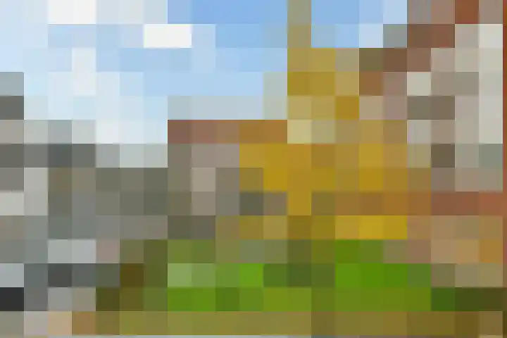 Leiduinstraat 4 3 Amsterdam thumbnail 5