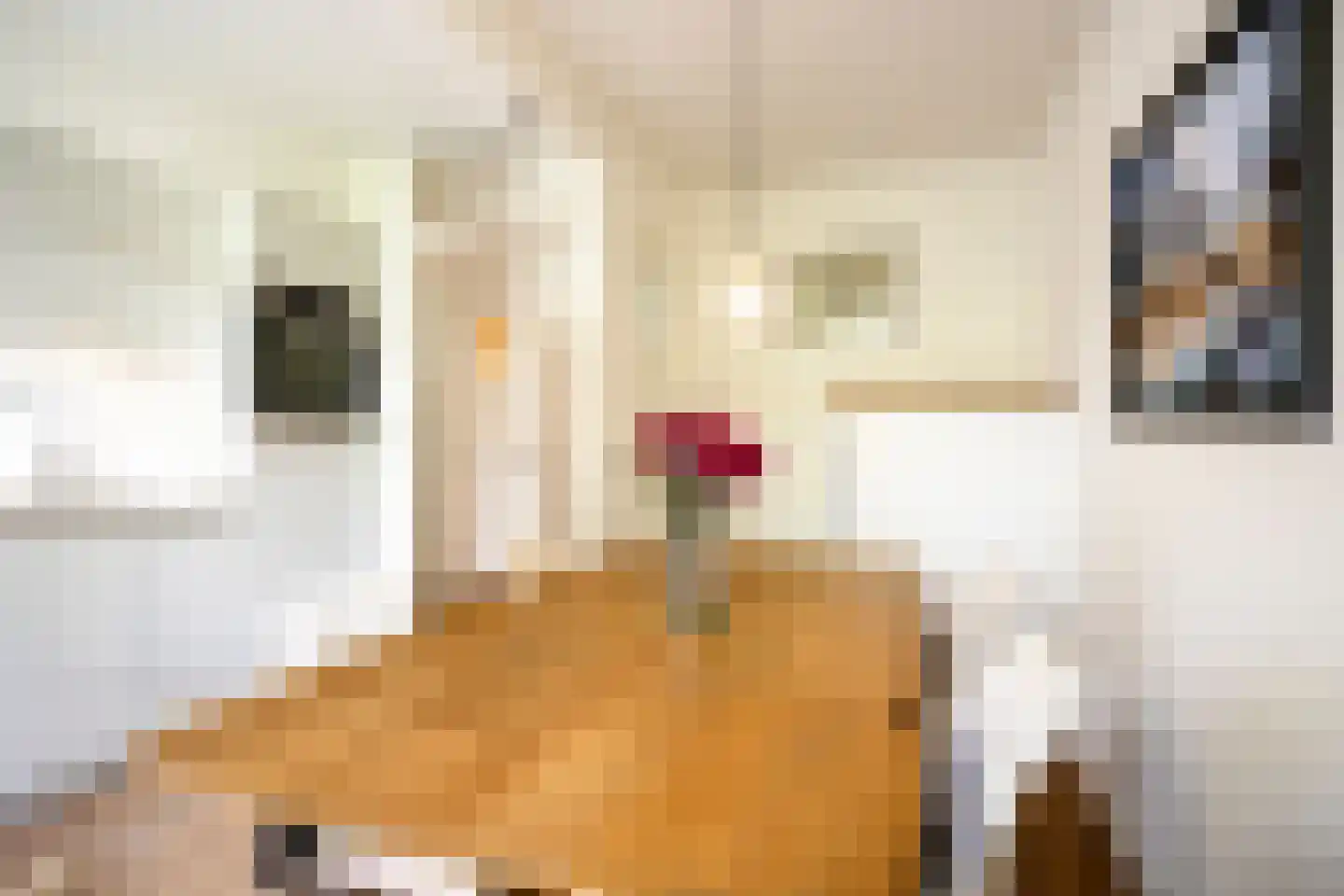 Leiduinstraat 41 1 Amsterdam thumbnail 10