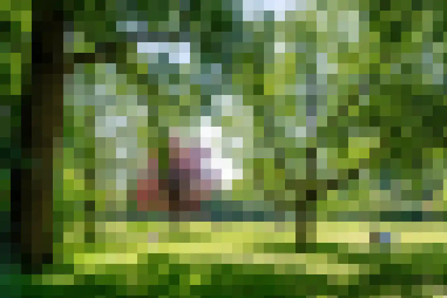 Leiduinstraat 41 1 Amsterdam thumbnail 25