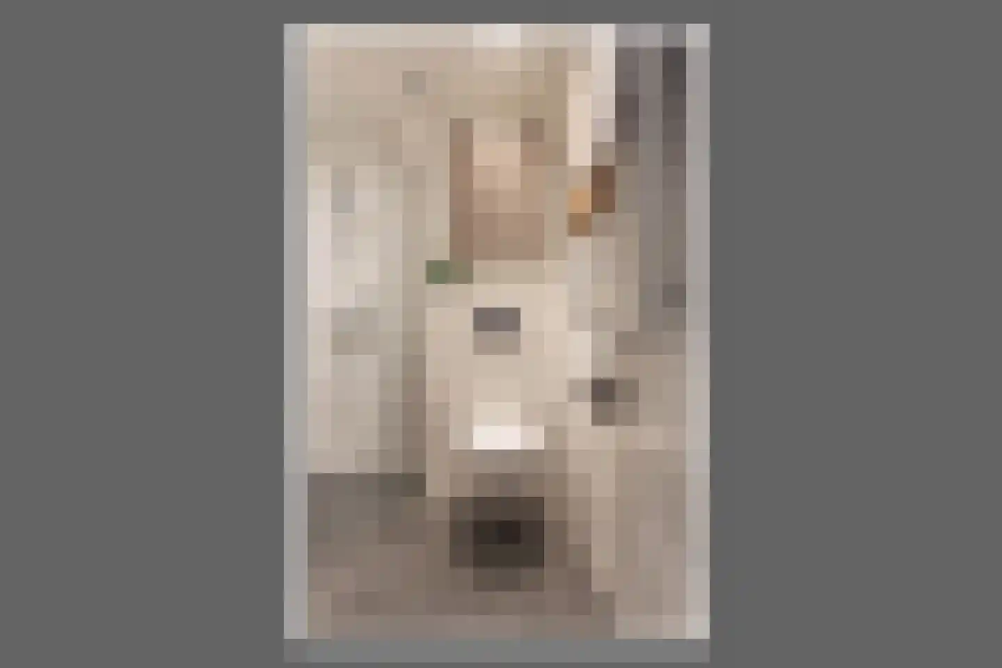 Leiduinstraat 48 2 Amsterdam thumbnail 26