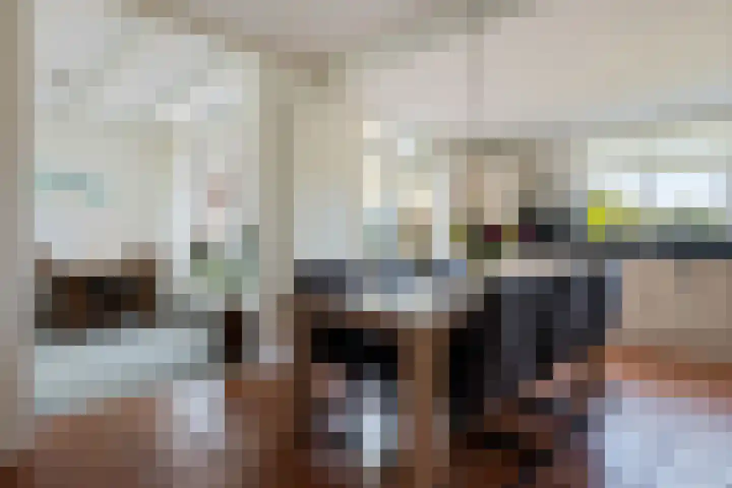 Leidyk 1 Ureterp thumbnail 15