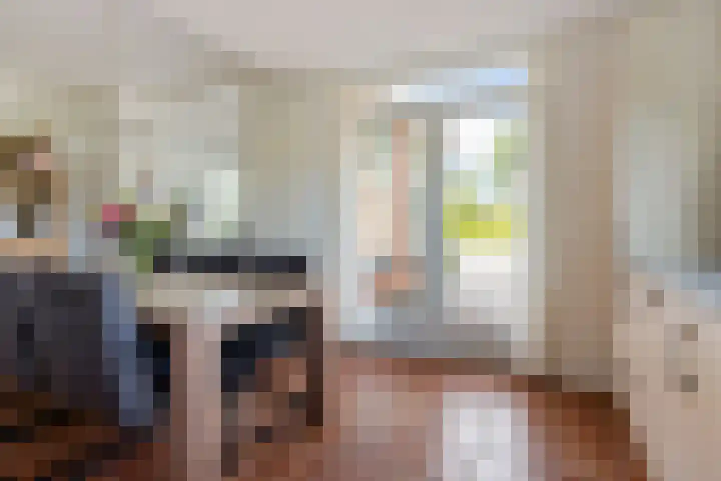Leidyk 1 Ureterp thumbnail 18