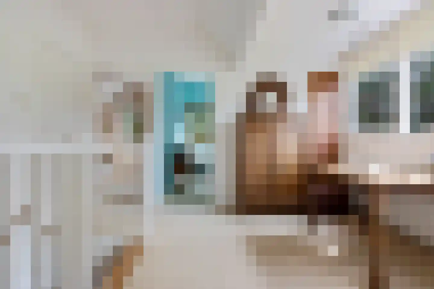 Leidyk 1 Ureterp thumbnail 26