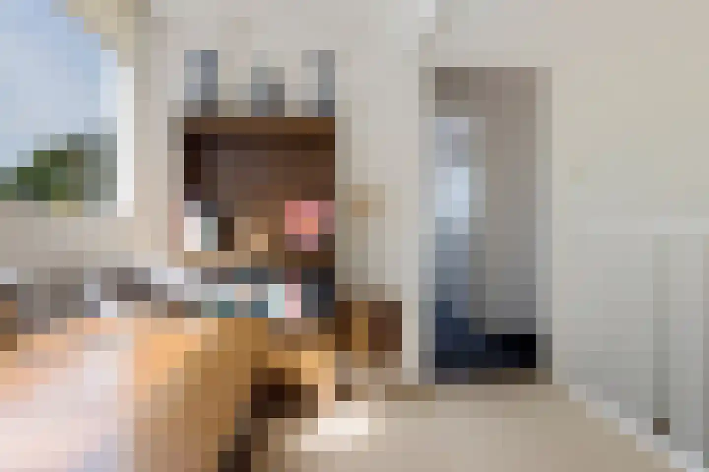 Leidyk 1 Ureterp thumbnail 27