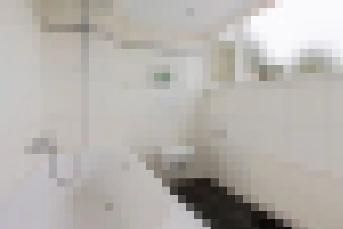 Leidyk 1 Ureterp thumbnail 30