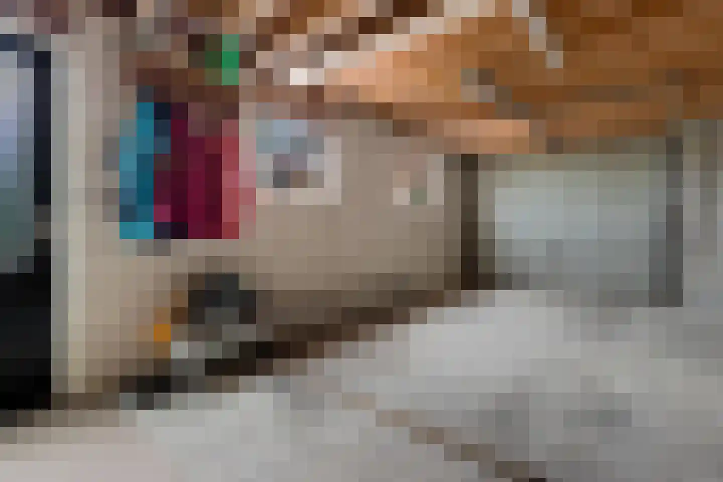 Leidyk 1 Ureterp thumbnail 32