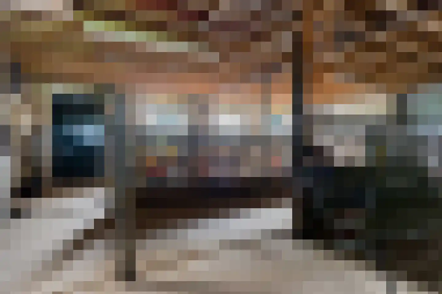 Leidyk 1 Ureterp thumbnail 33