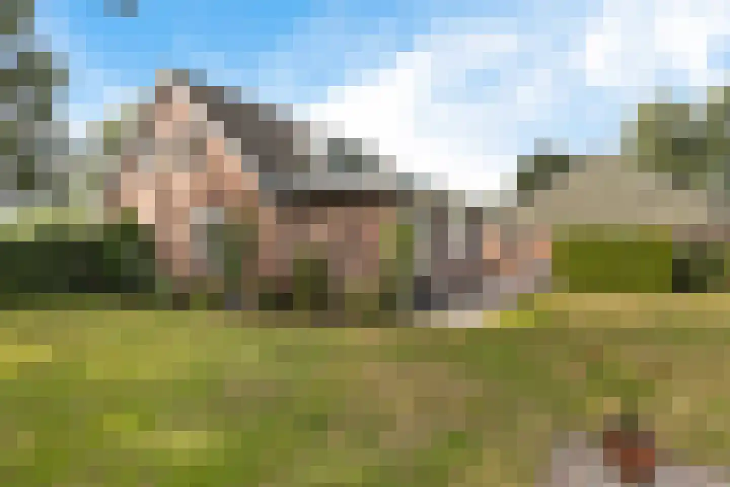 Leidyk 1 Ureterp thumbnail 37