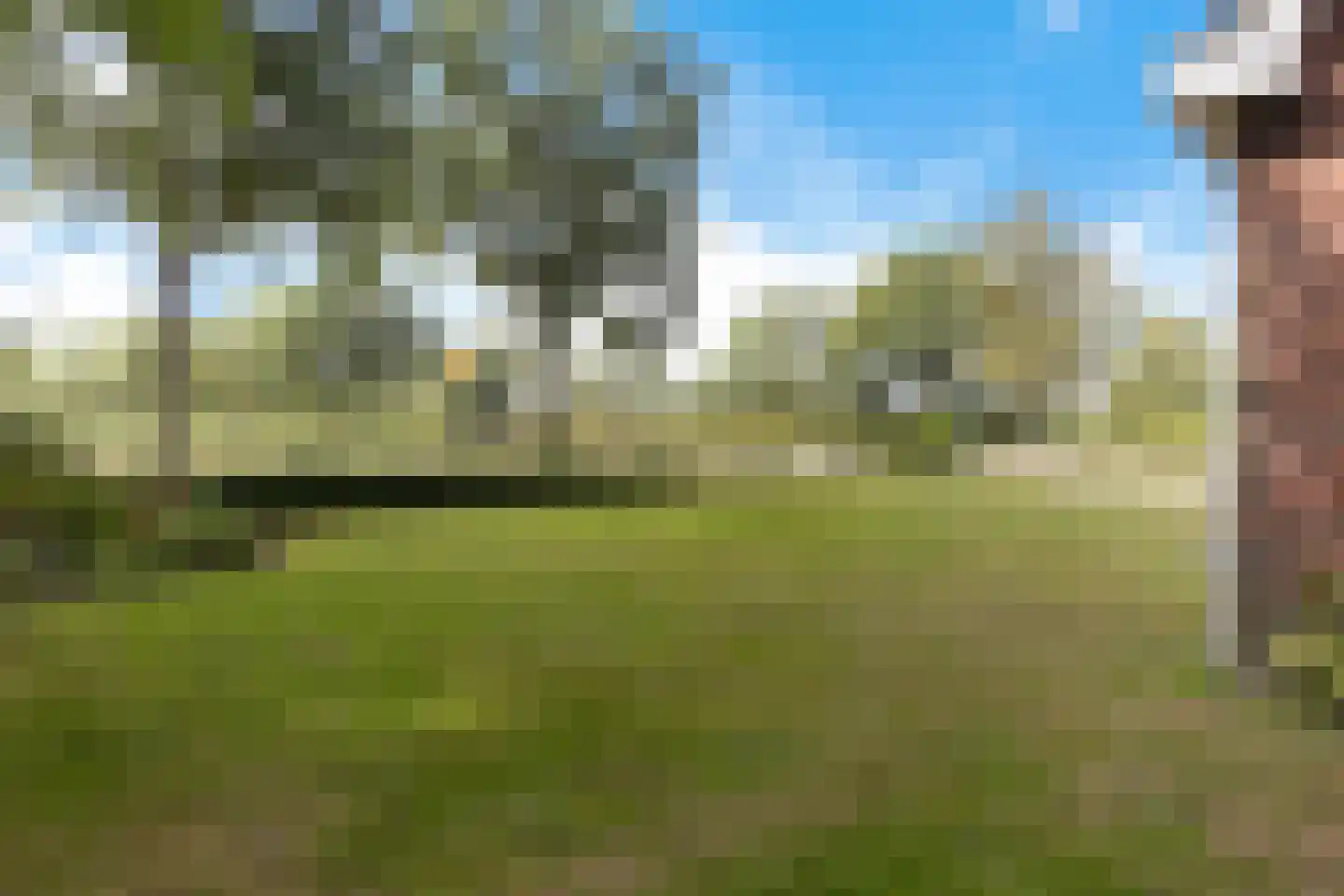 Leidyk 1 Ureterp thumbnail 39